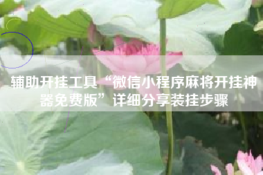 辅助开挂工具“微信小程序麻将开挂神器免费版	”详细分享装挂步骤