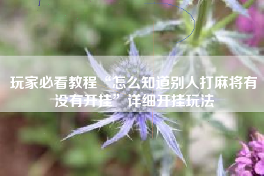 玩家必看教程“怎么知道别人打麻将有没有开挂”详细开挂玩法