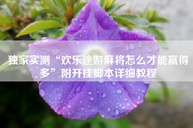 独家实测“欢乐途游麻将怎么才能赢得多	”附开挂脚本详细教程