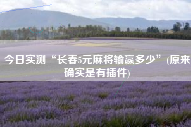 今日实测“长春5元麻将输赢多少”(原来确实是有插件)