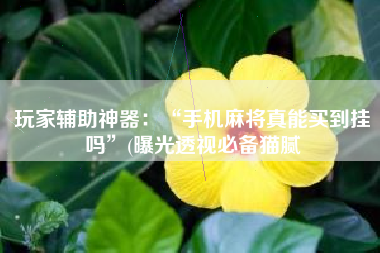 玩家辅助神器：“手机麻将真能买到挂吗”(曝光透视必备猫腻
