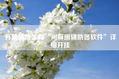 开挂辅助工具“川麻圈辅助器软件	”详细开挂