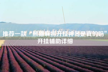 推荐一款“熊猫麻将开挂神器是真的吗	”开挂辅助详细