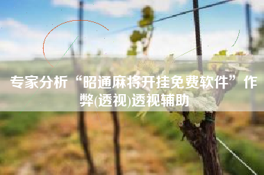 专家分析“昭通麻将开挂免费软件”作弊(透视)透视辅助