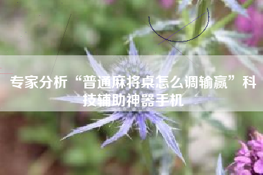 专家分析“普通麻将桌怎么调输赢	”科技辅助神器手机