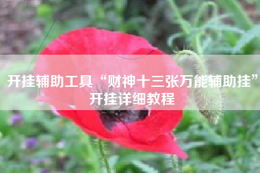 开挂辅助工具“财神十三张万能辅助挂”开挂详细教程