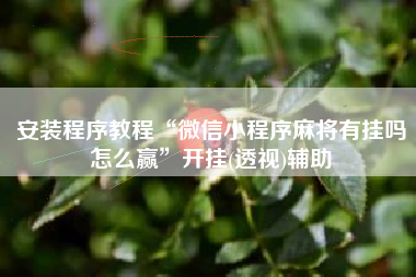 安装程序教程“微信小程序麻将有挂吗怎么赢”开挂(透视)辅助