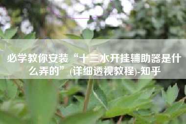 必学教你安装“十三水开挂辅助器是什么弄的	”(详细透视教程)-知乎