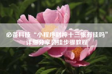 必备科技“小程序财神十三张有挂吗”详细分享装挂步骤教程