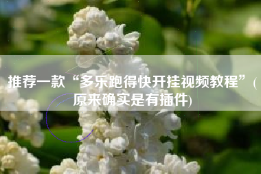 推荐一款“多乐跑得快开挂视频教程”(原来确实是有插件)