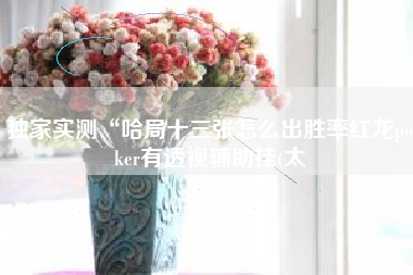 独家实测“哈局十三张怎么出胜率红龙poker有透视辅助挂(太