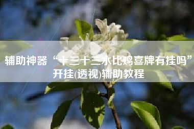 辅助神器“十三十三水比鸡喜牌有挂吗	”开挂(透视)辅助教程