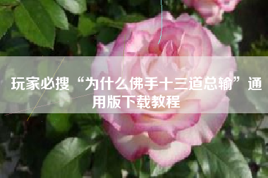 玩家必搜“为什么佛手十三道总输”通用版下载教程