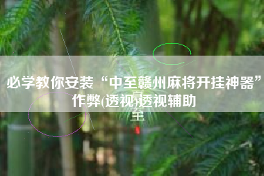 必学教你安装“中至赣州麻将开挂神器”作弊(透视)透视辅助