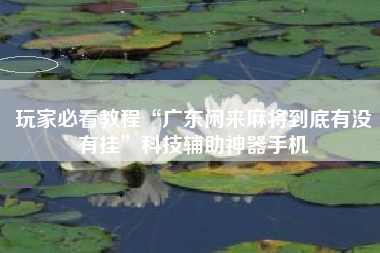 玩家必看教程“广东闲来麻将到底有没有挂”科技辅助神器手机