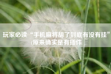 玩家必读“手机麻将胡了到底有没有挂”(原来确实是有插件