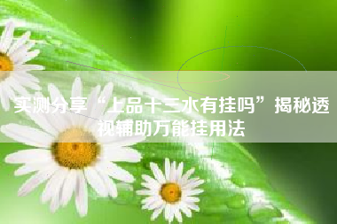 实测分享“上品十三水有挂吗	”揭秘透视辅助万能挂用法