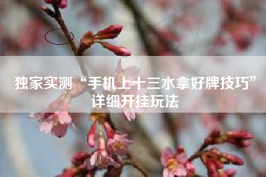 独家实测“手机上十三水拿好牌技巧	”详细开挂玩法