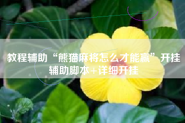 教程辅助“熊猫麻将怎么才能赢	”开挂辅助脚本+详细开挂