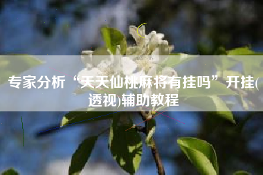 专家分析“天天仙桃麻将有挂吗	”开挂(透视)辅助教程