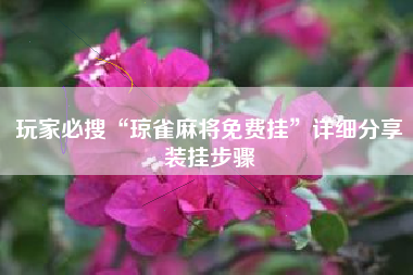 玩家必搜“琼雀麻将免费挂	”详细分享装挂步骤