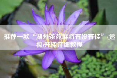 推荐一款“湖州茶苑麻将有没有挂	”(透视)开挂详细教程