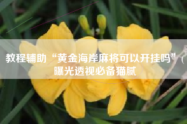 教程辅助“黄金海岸麻将可以开挂吗”(曝光透视必备猫腻