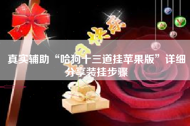 真实辅助“哈狗十三道挂苹果版”详细分享装挂步骤