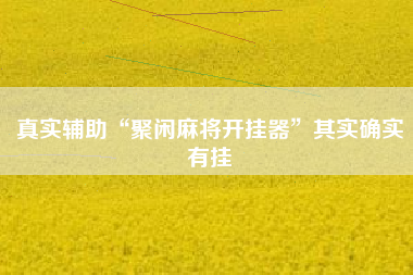 真实辅助“聚闲麻将开挂器	”其实确实有挂