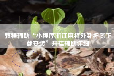 教程辅助“小程序浙江麻将外卦神器下载安装”开挂辅助详细