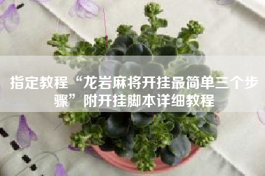 指定教程“龙岩麻将开挂最简单三个步骤”附开挂脚本详细教程