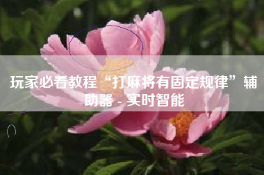 玩家必看教程“打麻将有固定规律	”辅助器 - 实时智能