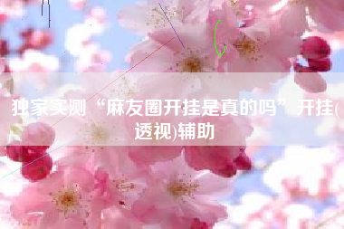 独家实测“麻友圈开挂是真的吗	”开挂(透视)辅助