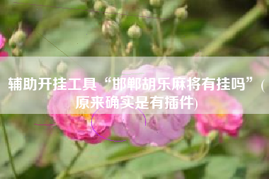 辅助开挂工具“邯郸胡乐麻将有挂吗”(原来确实是有插件)