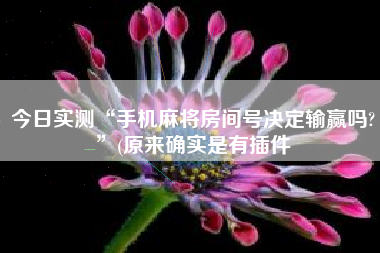 今日实测“手机麻将房间号决定输赢吗?	”(原来确实是有插件