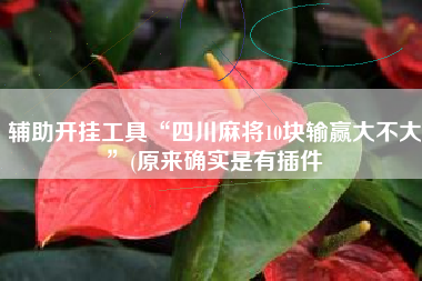 辅助开挂工具“四川麻将10块输赢大不大	”(原来确实是有插件