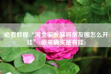 必看教程“河北家乡麻将亲友圈怎么开挂”(原来确实是有挂)