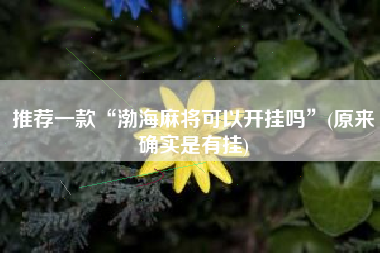 推荐一款“渤海麻将可以开挂吗”(原来确实是有挂)
