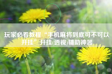 玩家必看教程“手机麻将到底可不可以开挂”开挂(透视)辅助神器