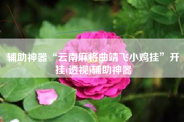 辅助神器“云南麻将曲靖飞小鸡挂”开挂(透视)辅助神器