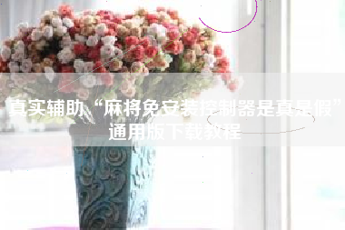 真实辅助“麻将免安装控制器是真是假	”通用版下载教程