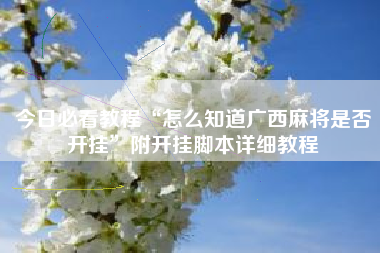 今日必看教程“怎么知道广西麻将是否开挂”附开挂脚本详细教程