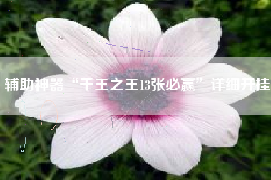 辅助神器“千王之王13张必赢”详细开挂