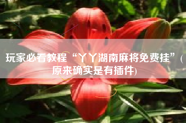 玩家必看教程“丫丫湖南麻将免费挂”(原来确实是有插件)