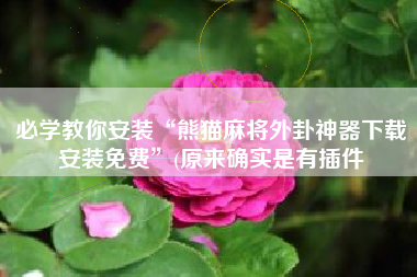 必学教你安装“熊猫麻将外卦神器下载安装免费”(原来确实是有插件