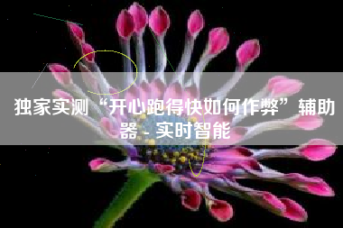 独家实测“开心跑得快如何作弊”辅助器 - 实时智能