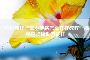 3分钟教程“云中麻将怎么开挂教程”揭秘透视辅助万能挂