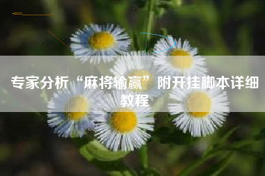 专家分析“麻将输赢”附开挂脚本详细教程