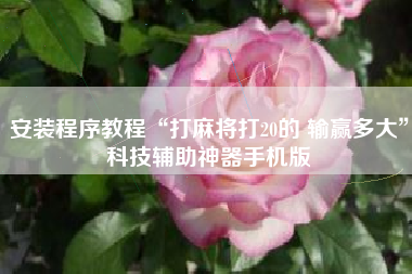 安装程序教程“打麻将打20的 输赢多大”科技辅助神器手机版