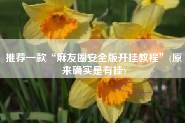 推荐一款“麻友圈安全版开挂教程	”(原来确实是有挂)